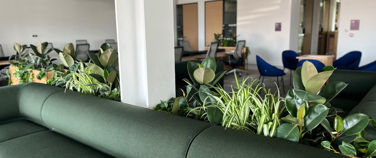 The Benefits of Biophilic Design for the Workplace