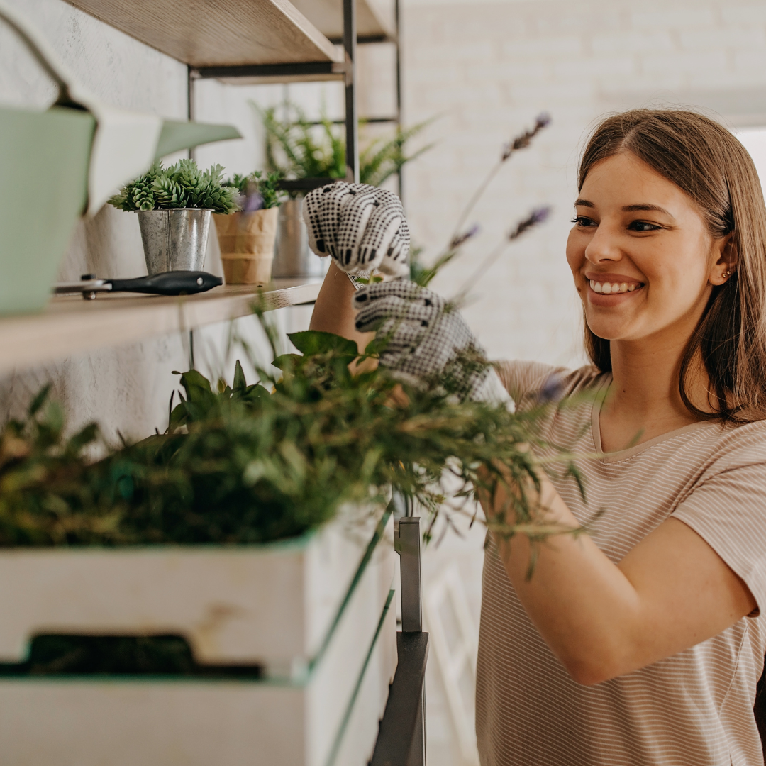 Get Your Plants Summer-Ready: The Hottest Tips for a Cool Indoor Oasis!