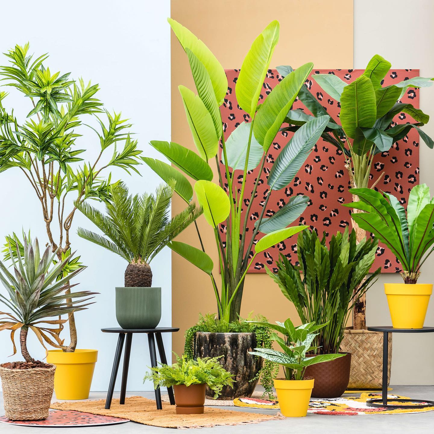 Faux Plants - Artificial