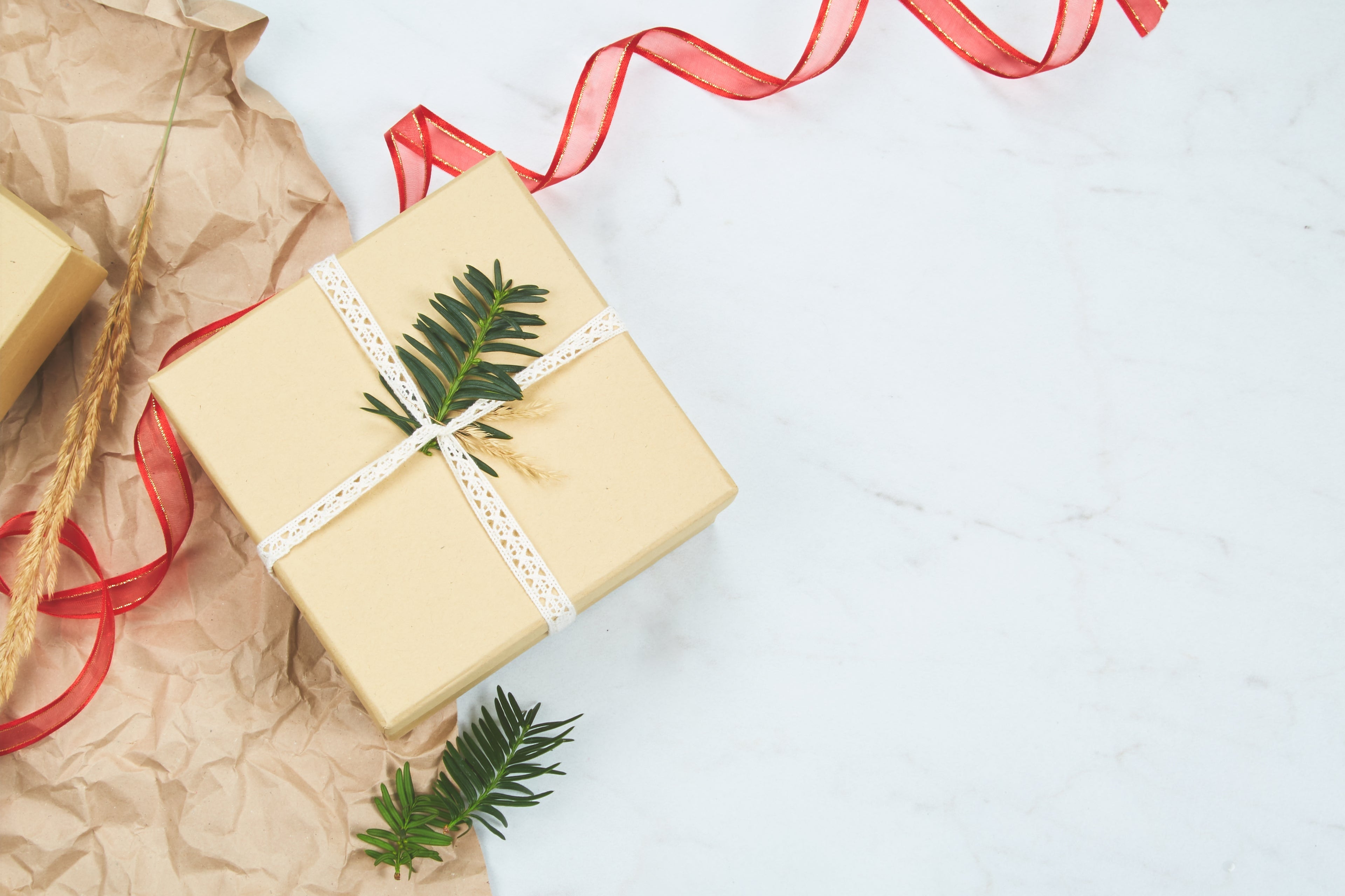 Christmas Gift Plants