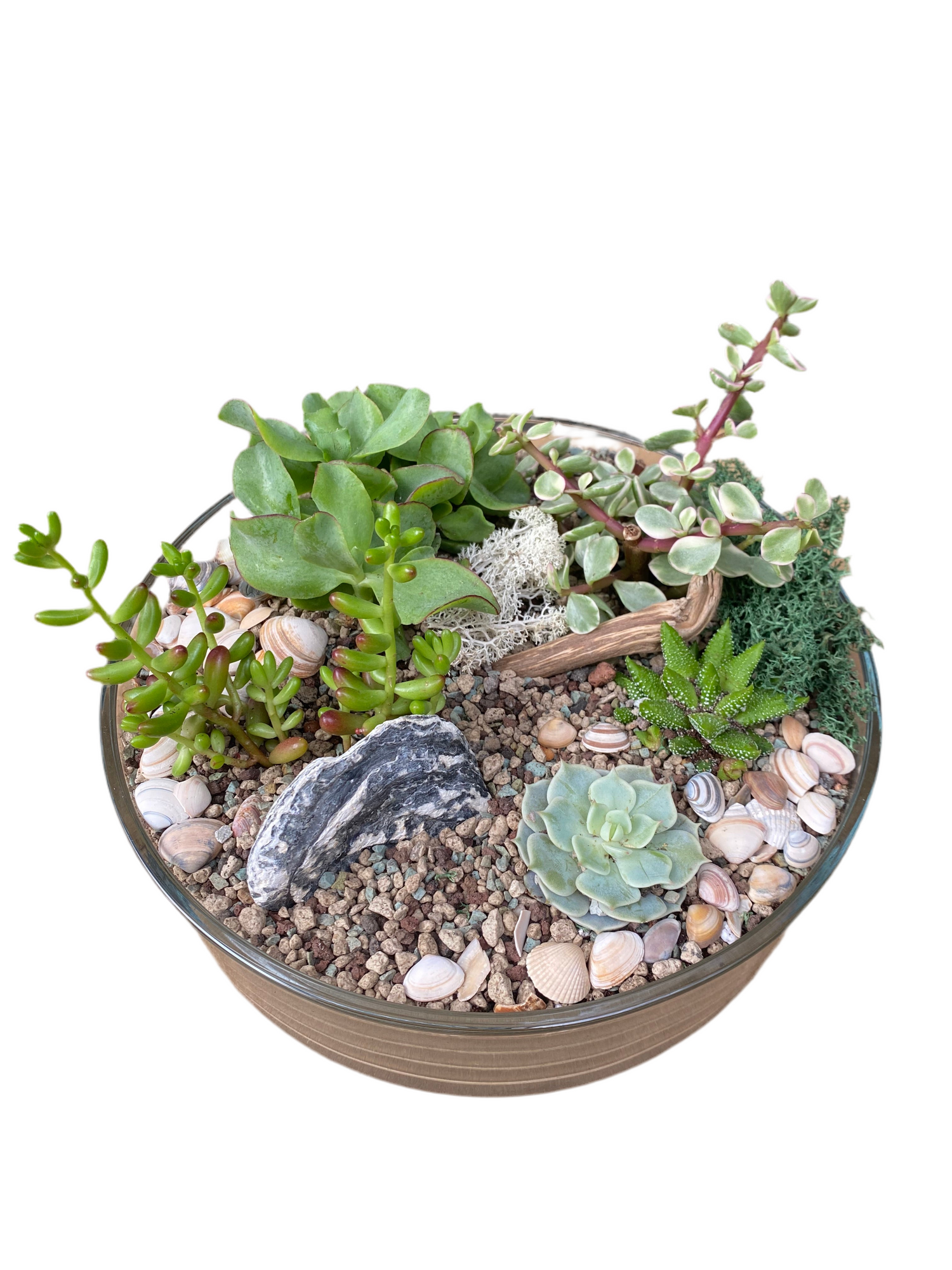Succulent Terrarium Bowl