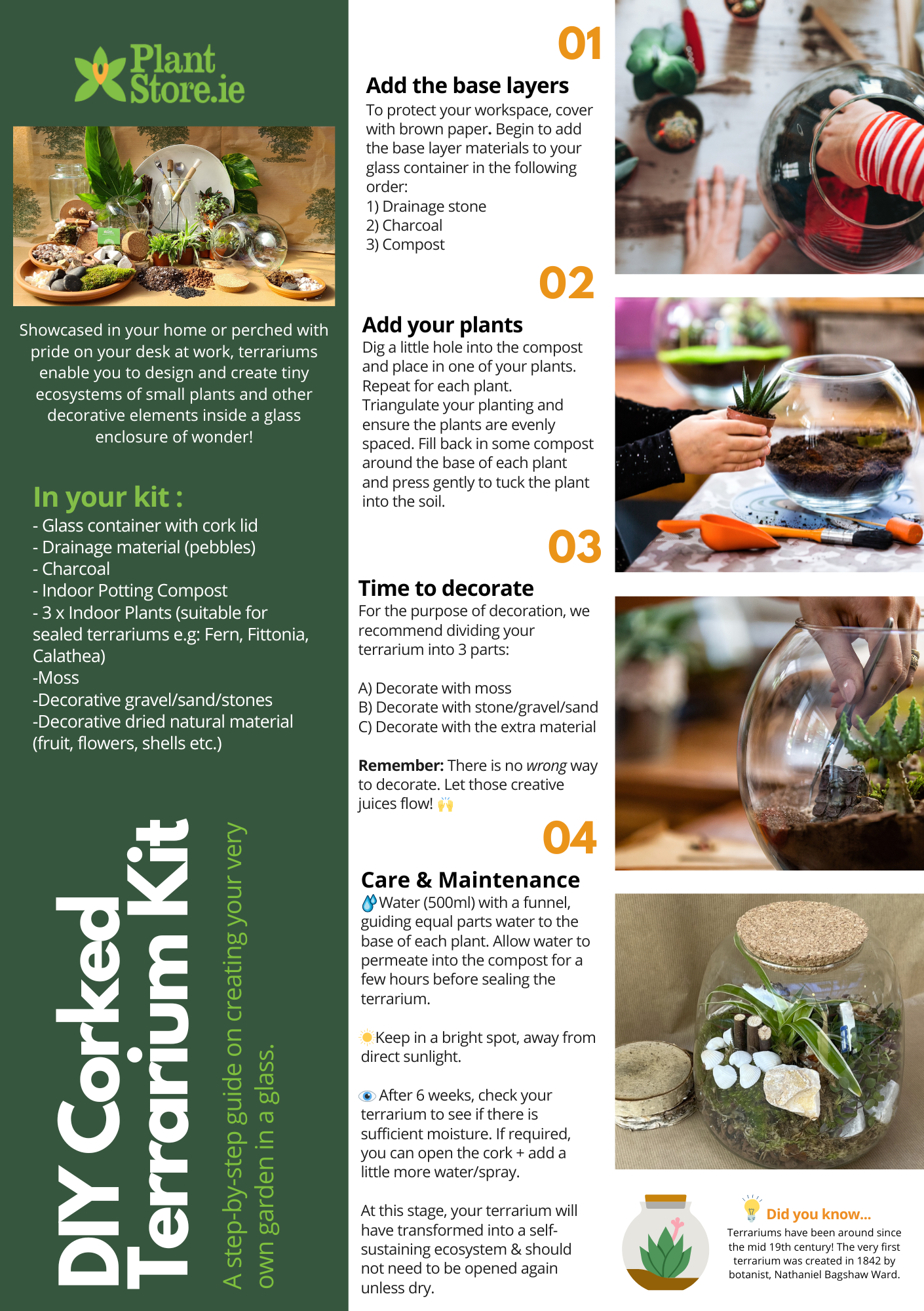 DIY Corked Terrarium Kit (Medium) - Plant Store