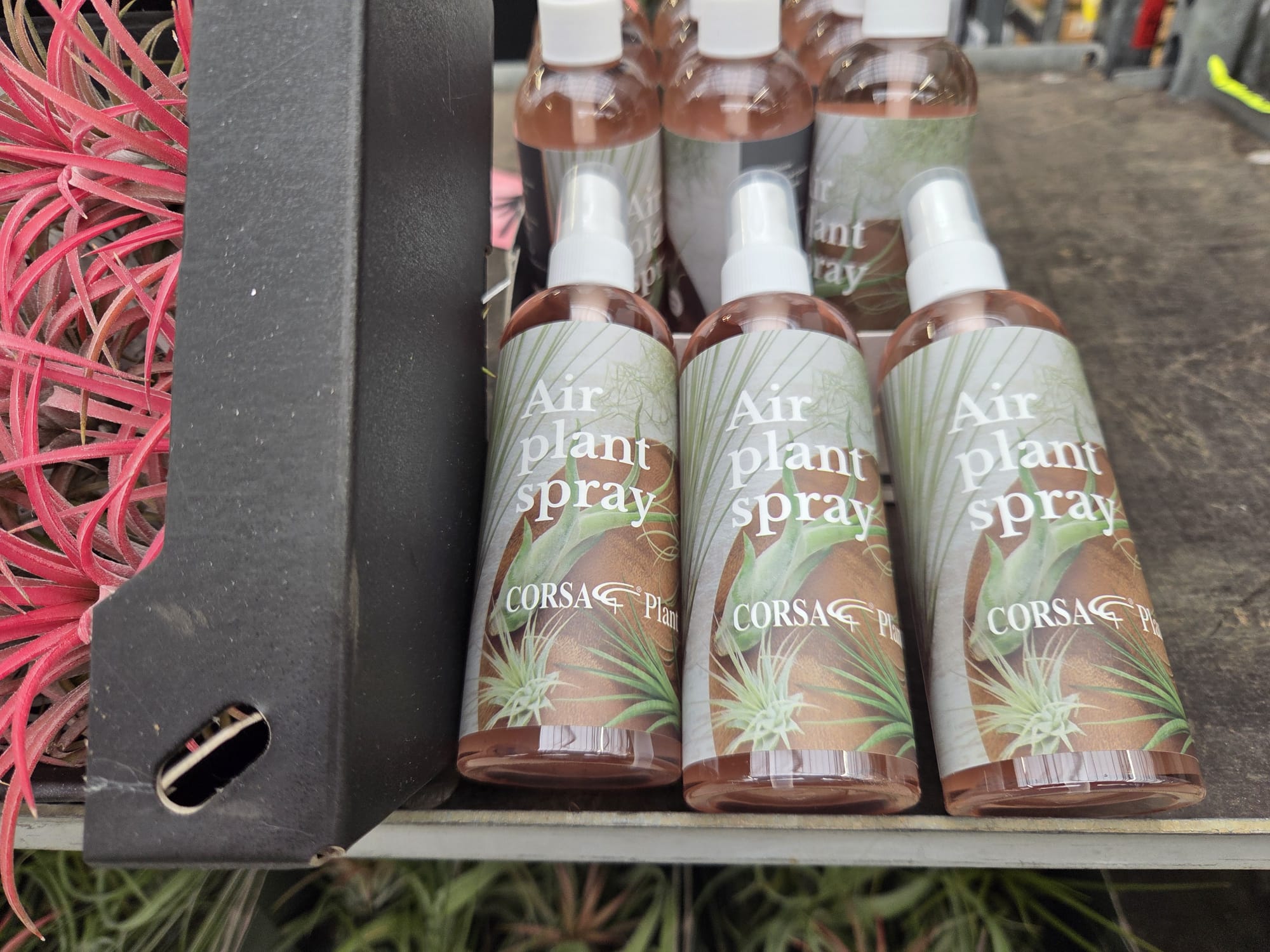 Corsa Air Plant Spray