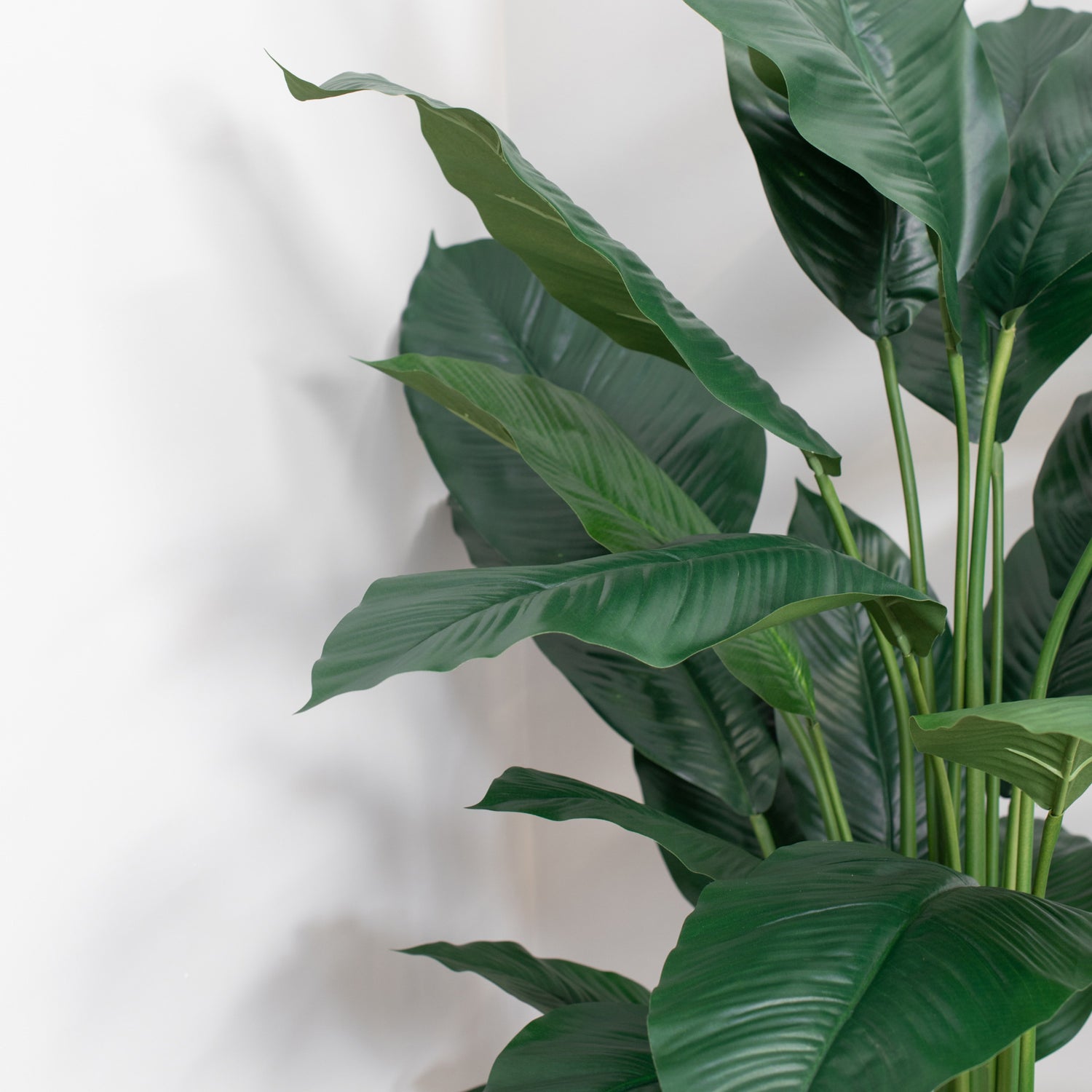 Artificial Spathiphyllum - 120cm (Fire Resistant)