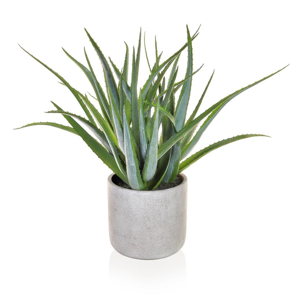Artificial Aloe Vera in Pot - 50cm