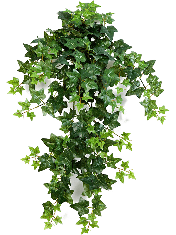 hanging ivy plant fake Artificial Hanging Ivy