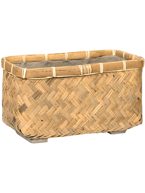 Bamboo Plant Pot