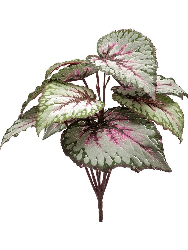 Artificial Begonia