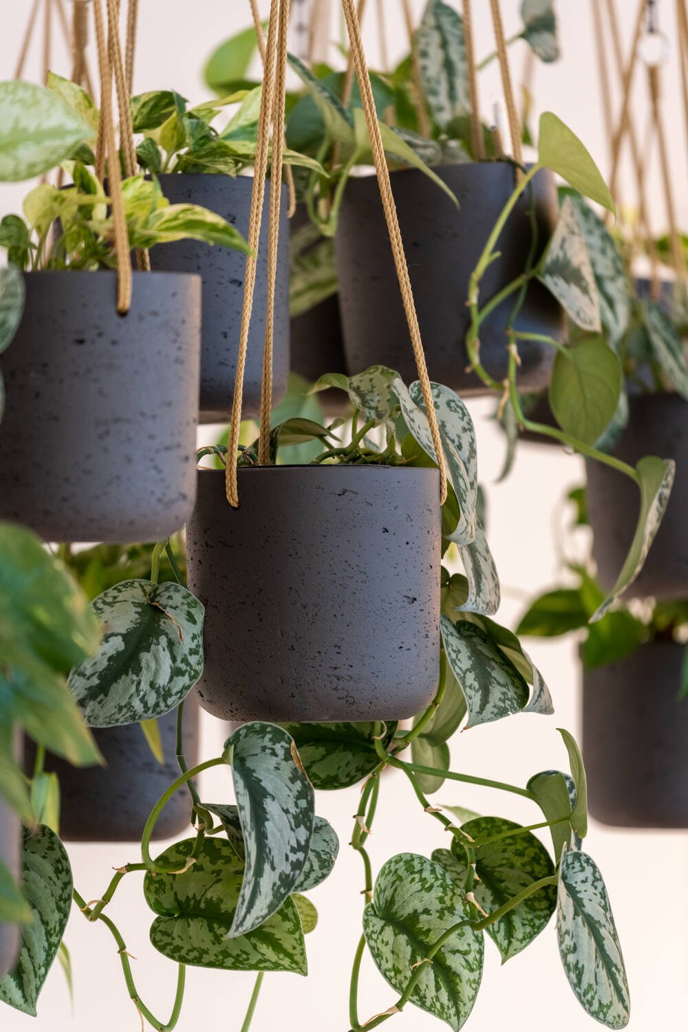 Small Hanging Clay Pot - Grey - Plant Store