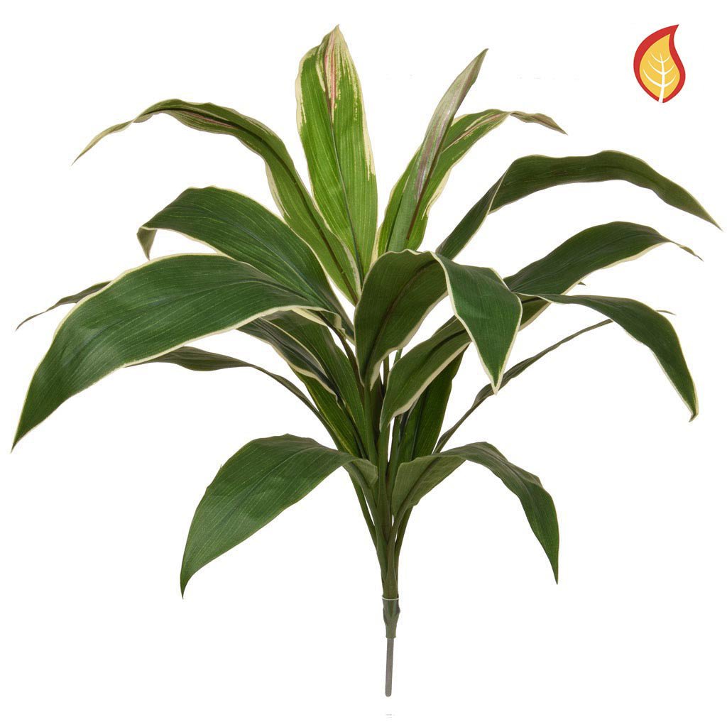 Artificial Cordyline (Fire Resistant) - Plant Store