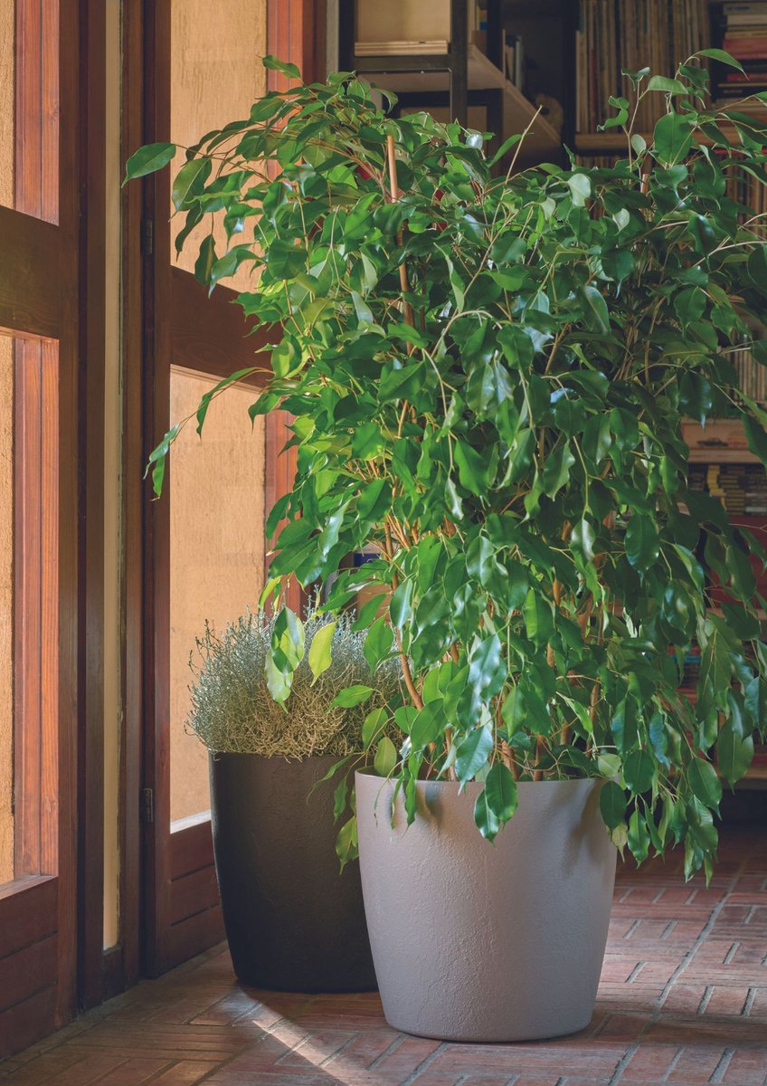 Internal Irrigation System for Milano Pot