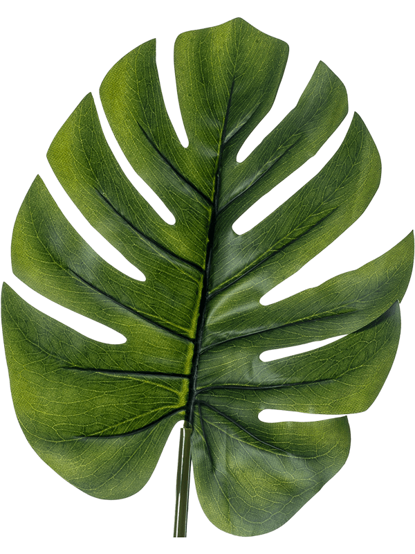fake monstera leaves Artificial Monstera Leaf – Plant Store