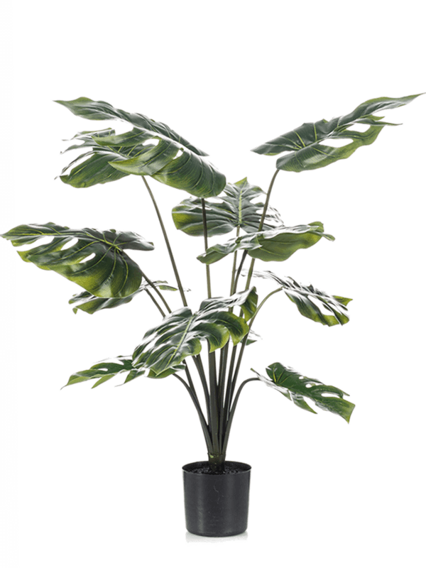 Artificial Monstera Deliciosa - 80cm