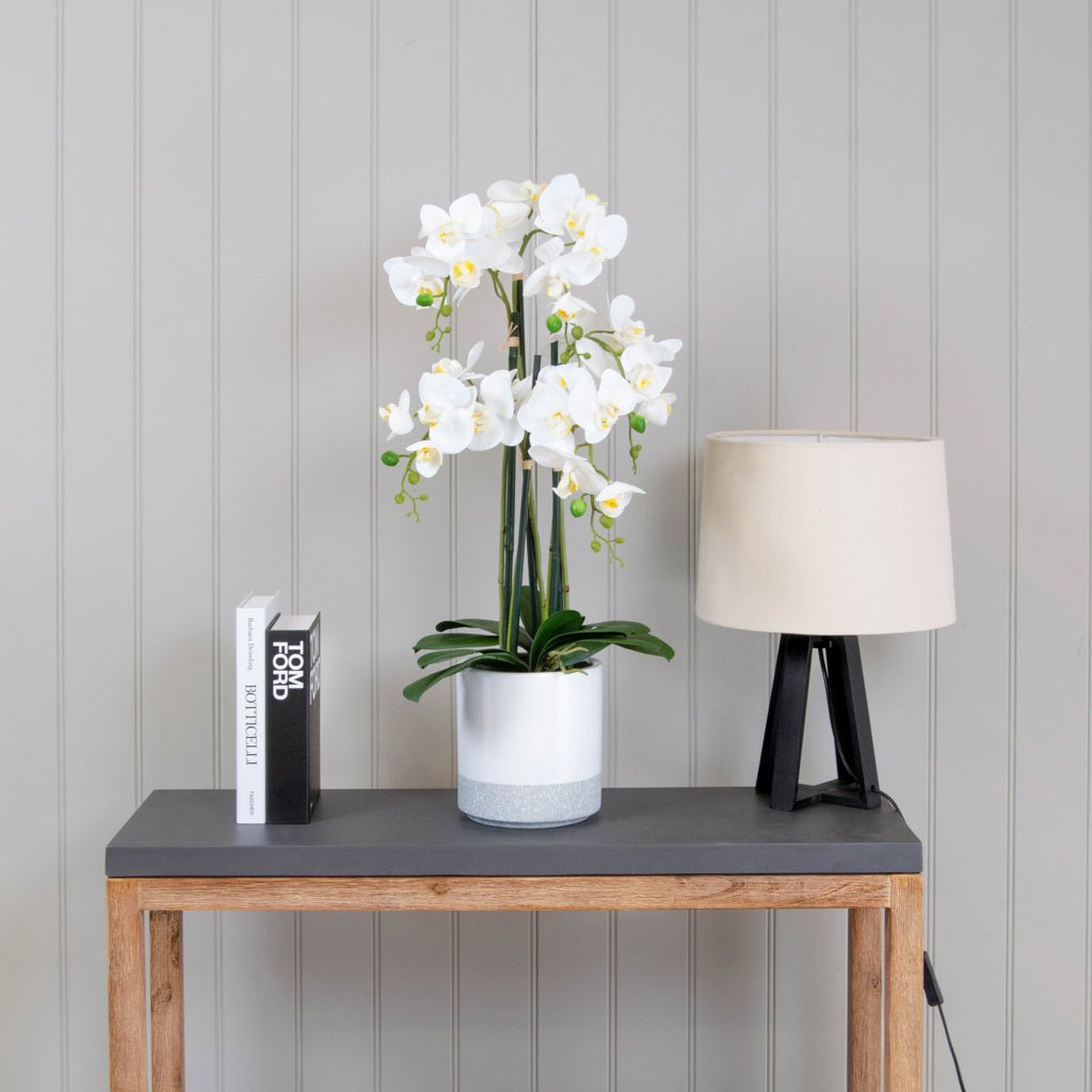 Artificial Phalaenopsis Orchid - 70cm - Plant Store