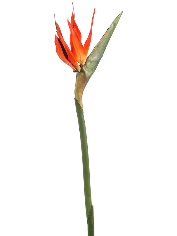 Artificial Strelitzia Bird of Paradise Flower