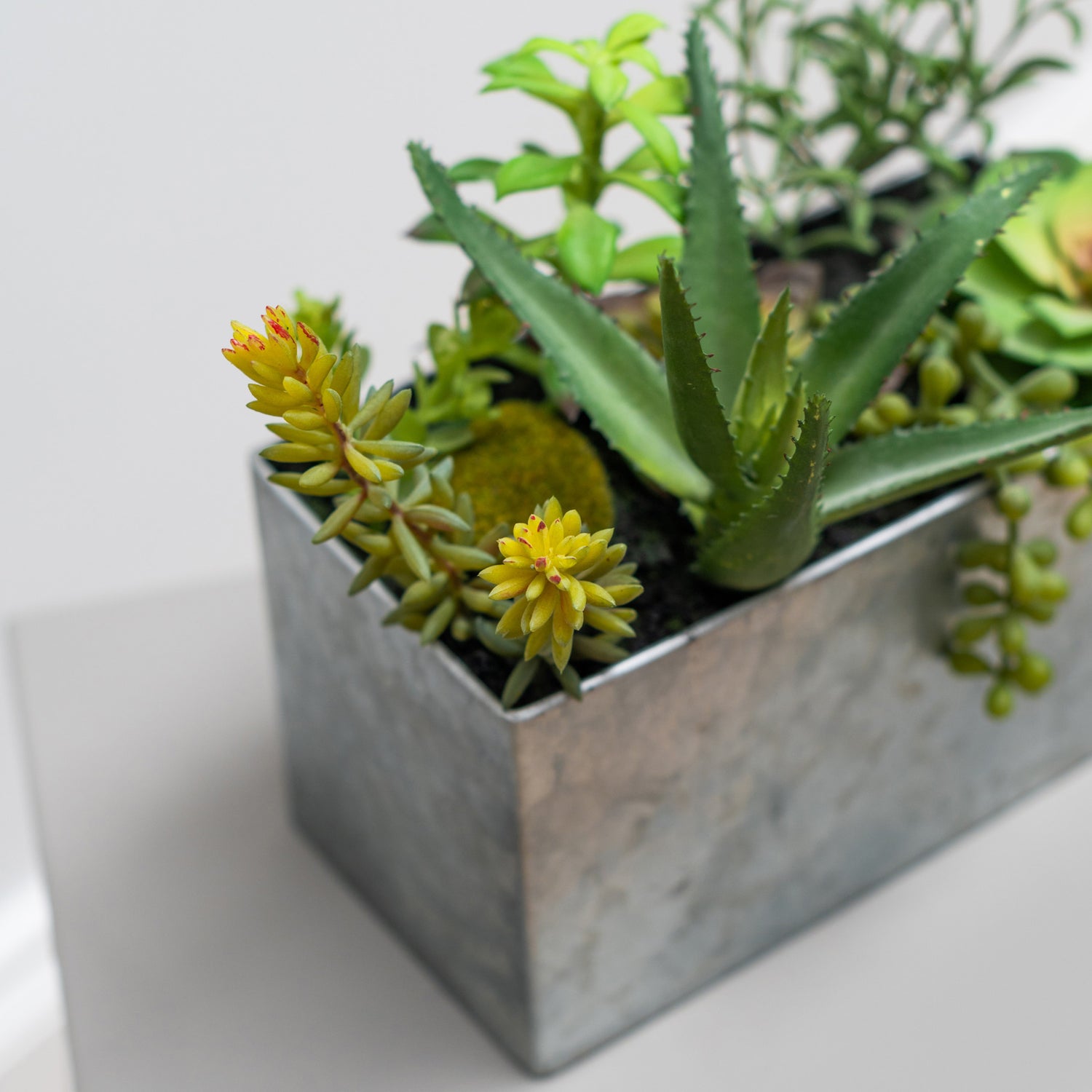 Artificial Succulent Mix in Steel Trough