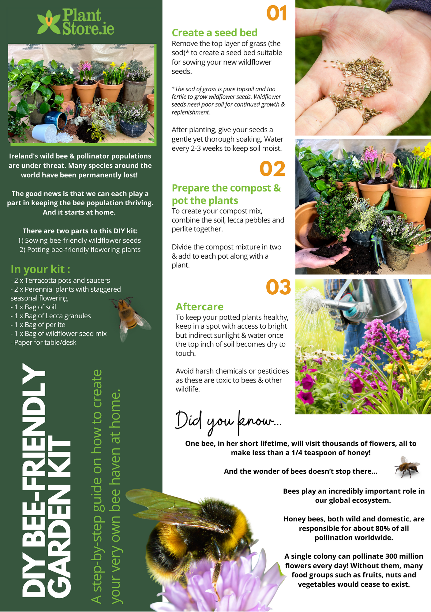 DIY Bee-Friendly Garden Kit (Large)