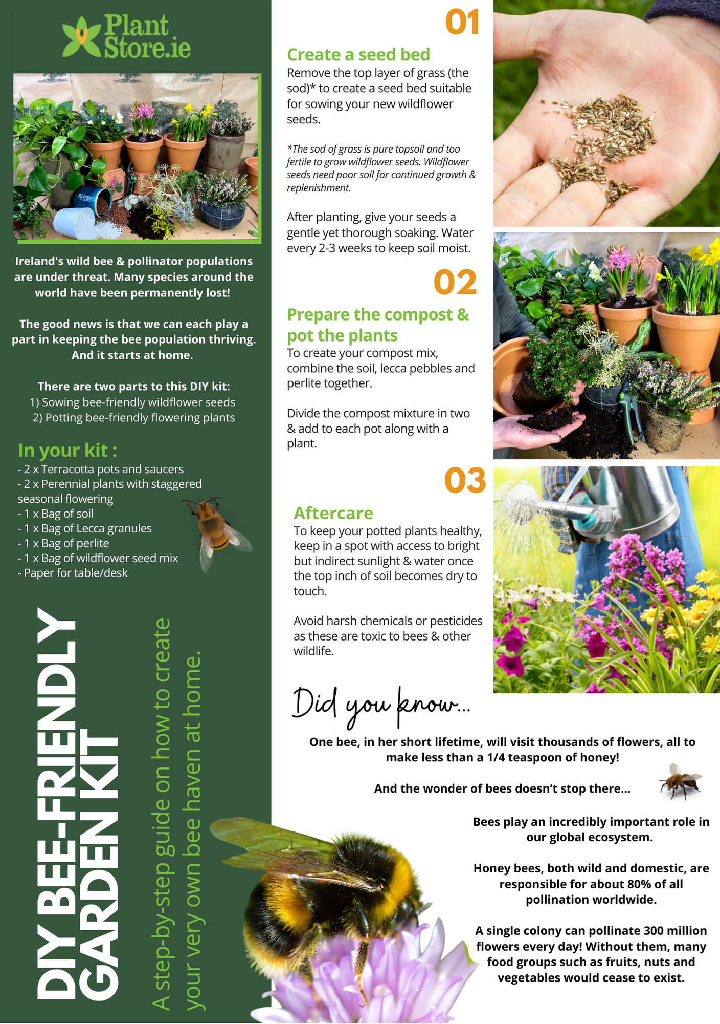 DIY Bee - Friendly Garden Kit (Large) - Plant Store