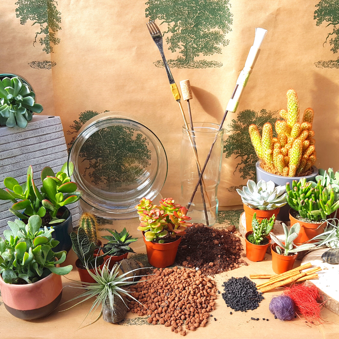 pot plant stand Mini Wood Indoor Plant Stand with Ceramic Pot main image 1