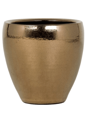 Amora Plant Container - Gold - Plant Store