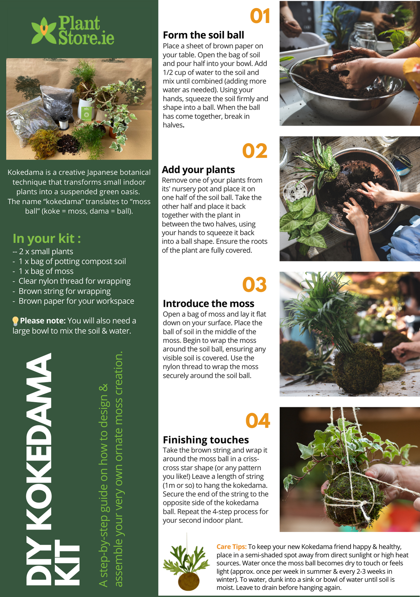 DIY Kokedama Kit - 2x Plants