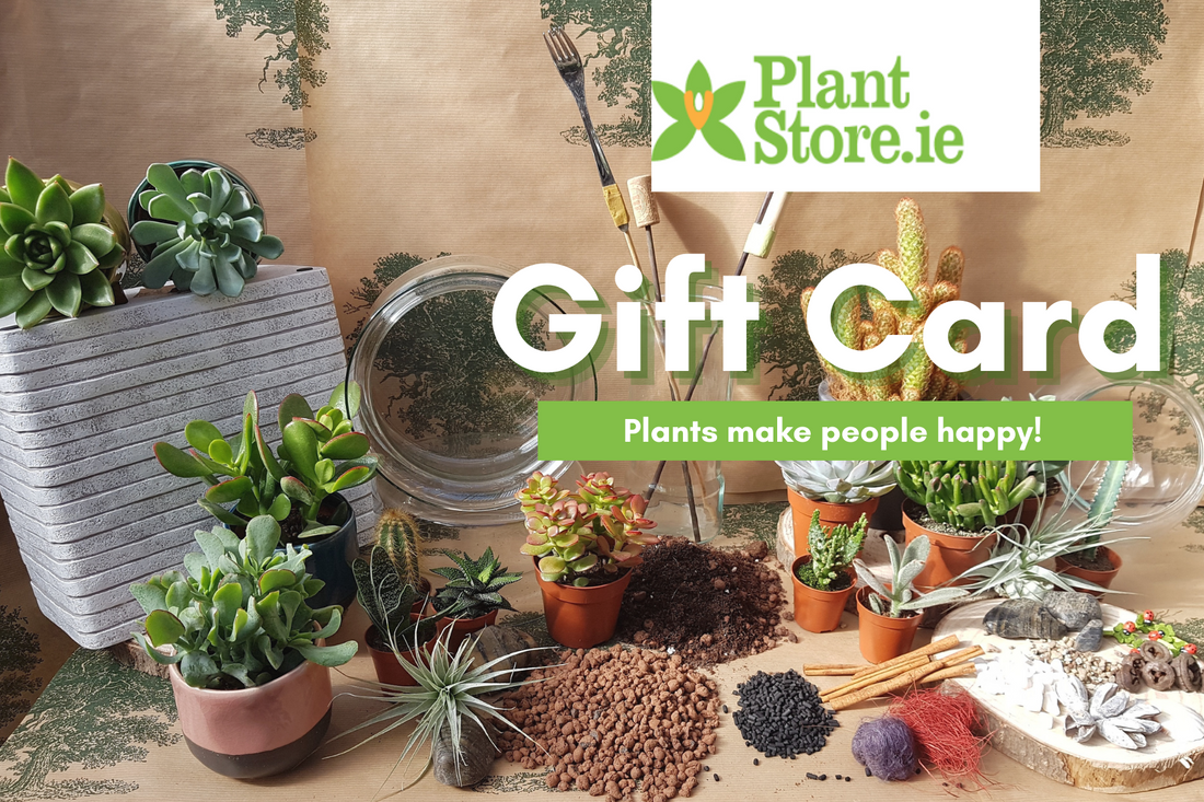 Plant Store Ireland Digital Gift Card (€25-€150)