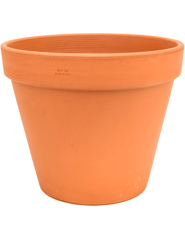 Plant Containers - Ceramic - Terracotta - Plant Store