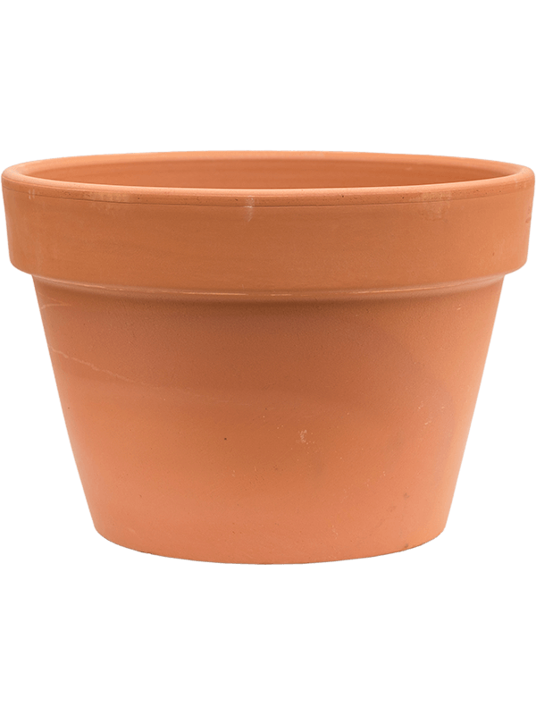 Plant Containers - Ceramic - Terracotta