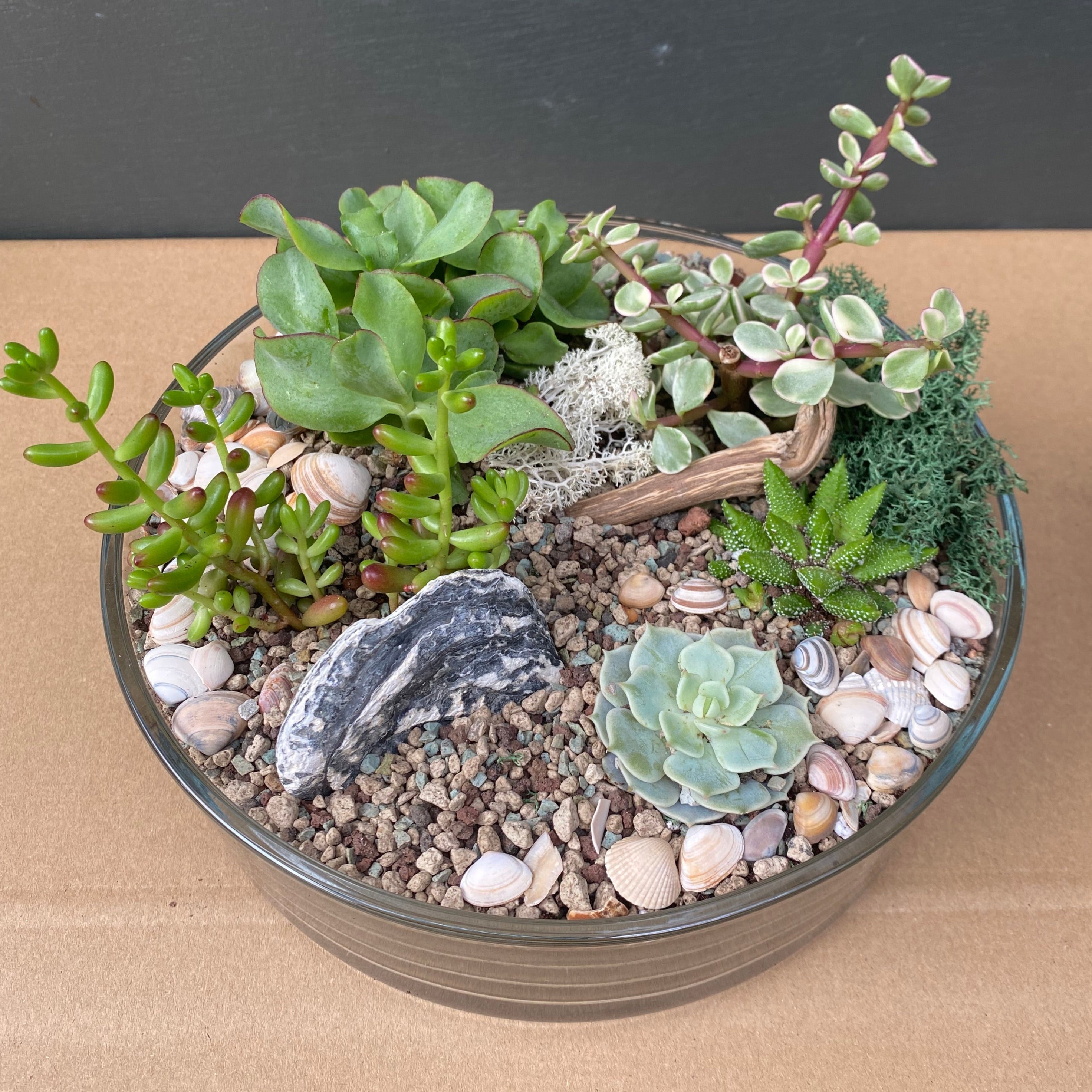 Terrarium Bowl