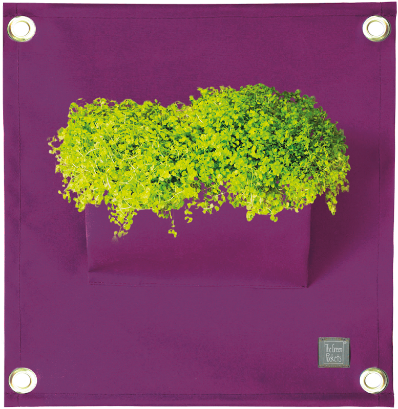 Verti-Grows - Plant Store