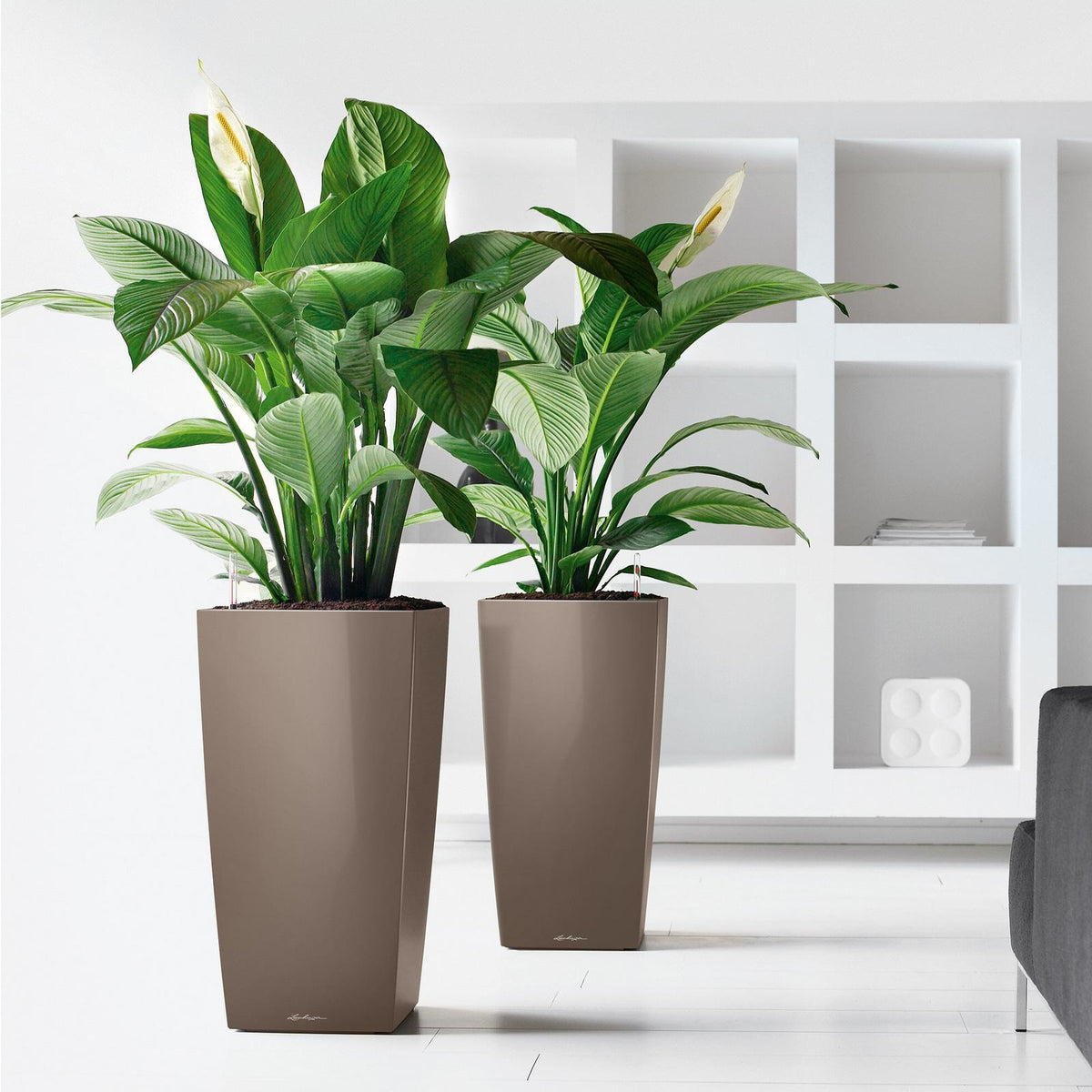 Lechuza Cubico Plant Containers - Plant Store
