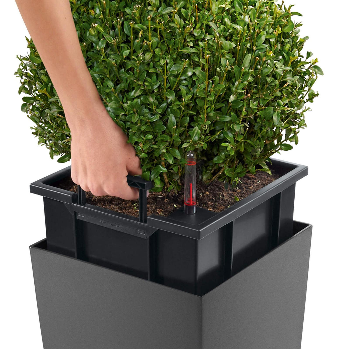 Lechuza Cubico Plant Containers - Plant Store