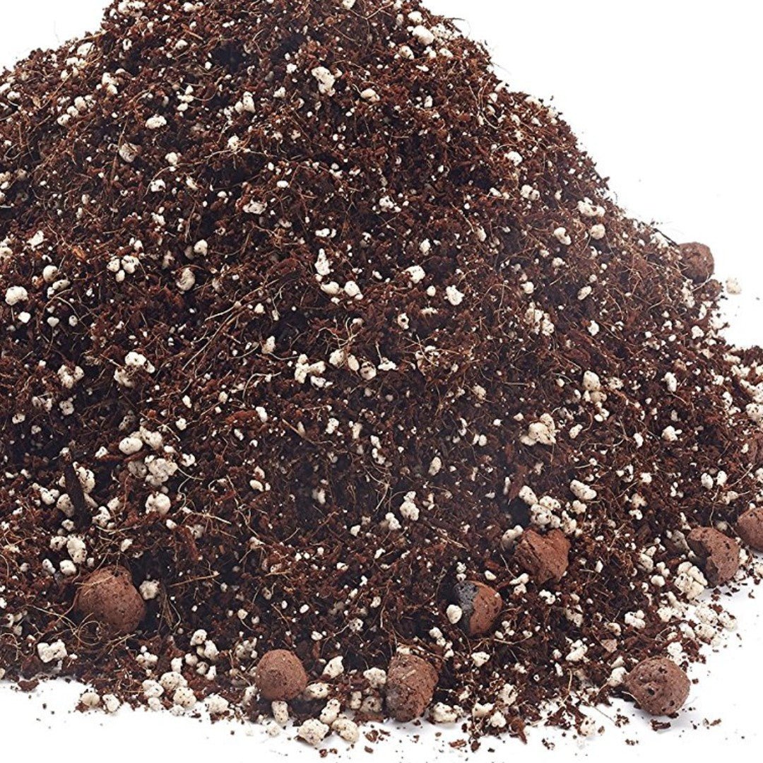 Indoor Potting Compost Mix - 2 litres - Plant Store