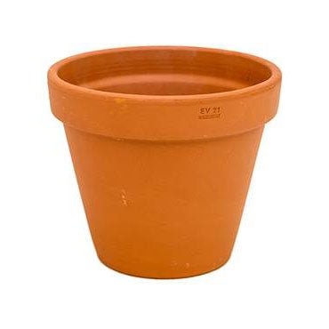 Plant Containers - Ceramic - Terracotta - Plant Store