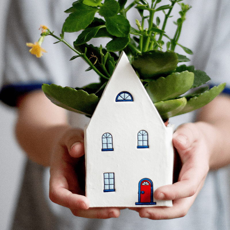 Our Guide to Choosing the Right Plant For Each Room of Your Home - Plant Store