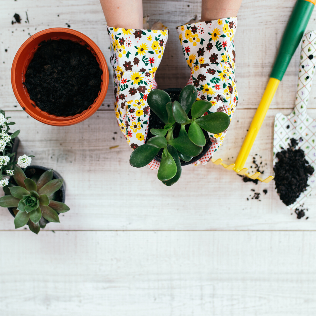 The Ultimate Guide To Becoming A Greener Gardener