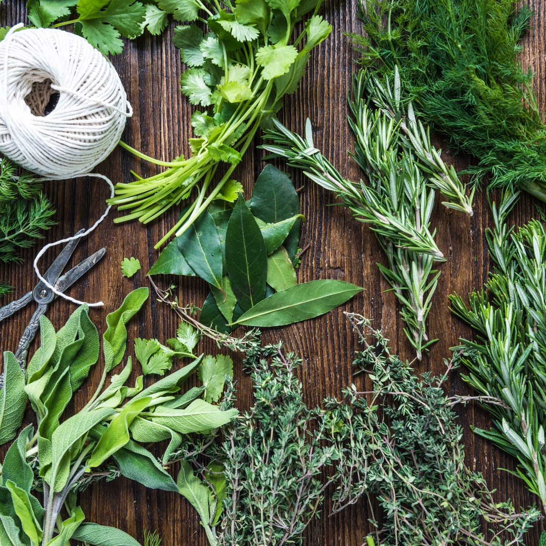 A Guide to Growing Herbs at Home (and Keeping them Alive!)