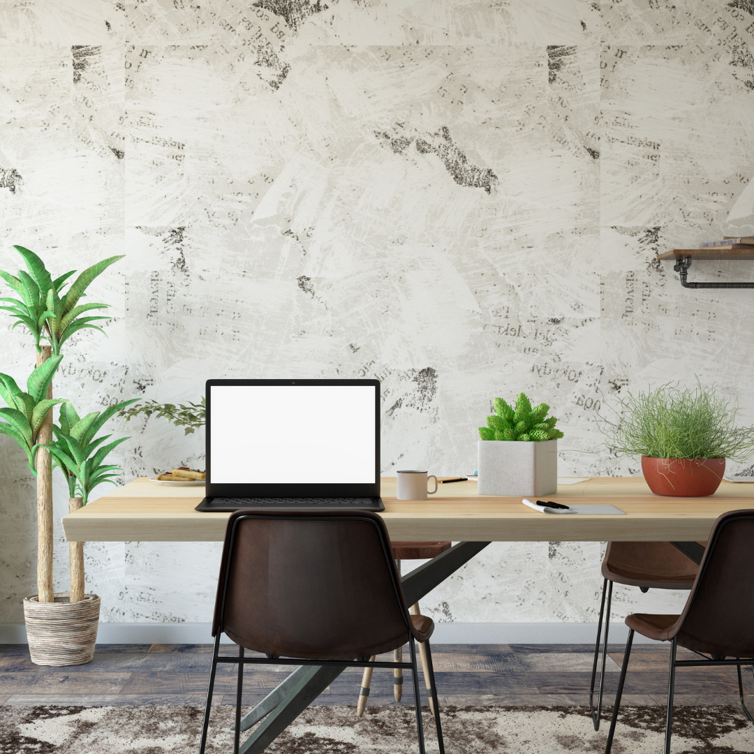 7 Hard-to-Kill Desk Plants to Refresh Your Home Office – Plant Store