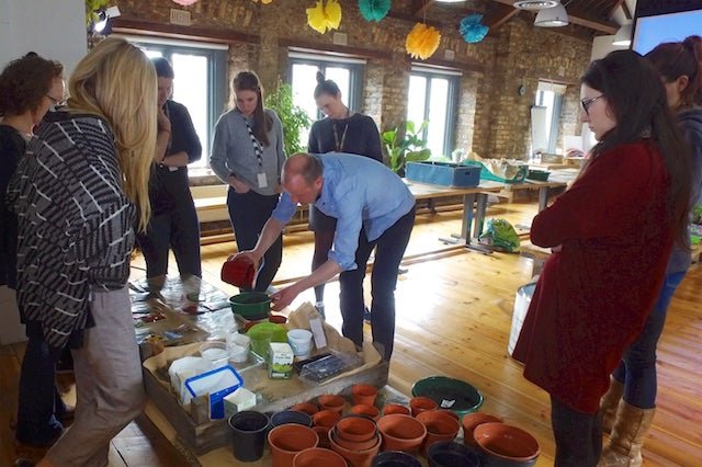 Workshops for your Business - Plant Store