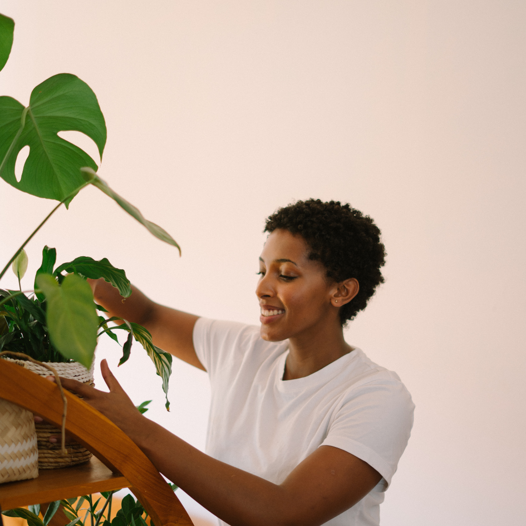 5 Common Indoor Plant Myths: Debunked