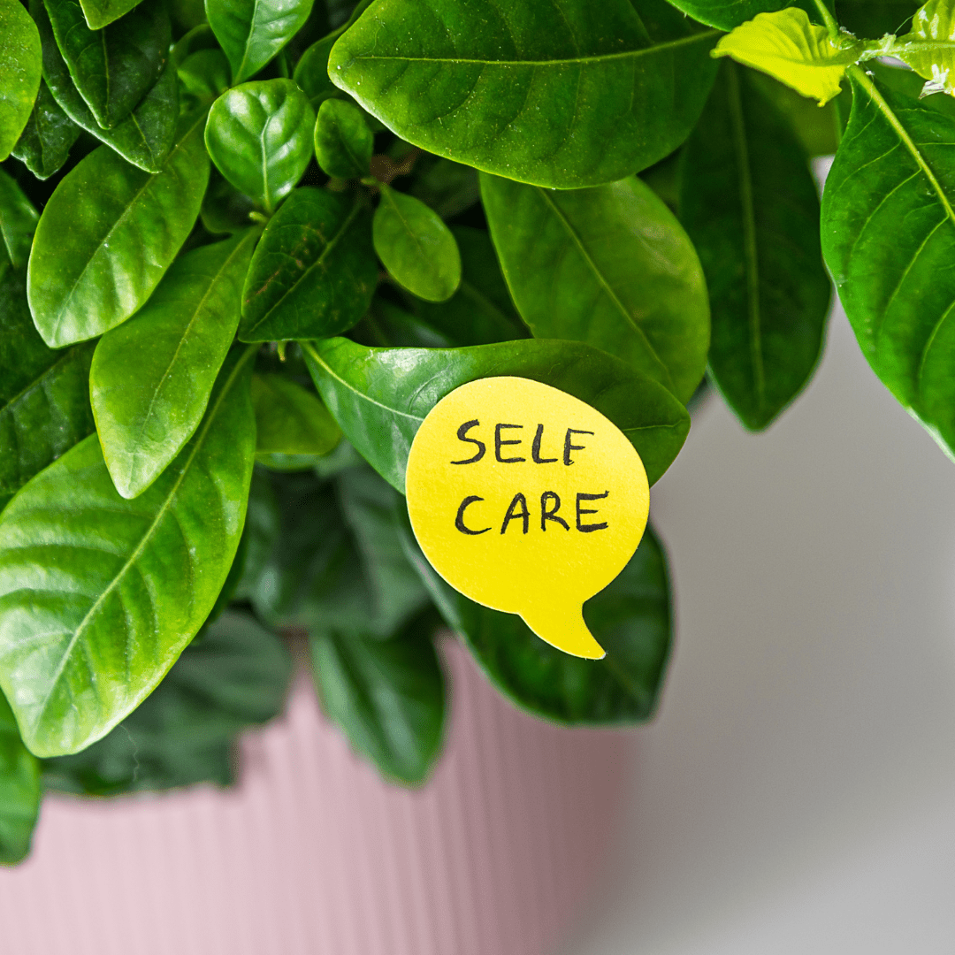 7 Lessons Plants Have Taught us About Self-Care - Plant Store