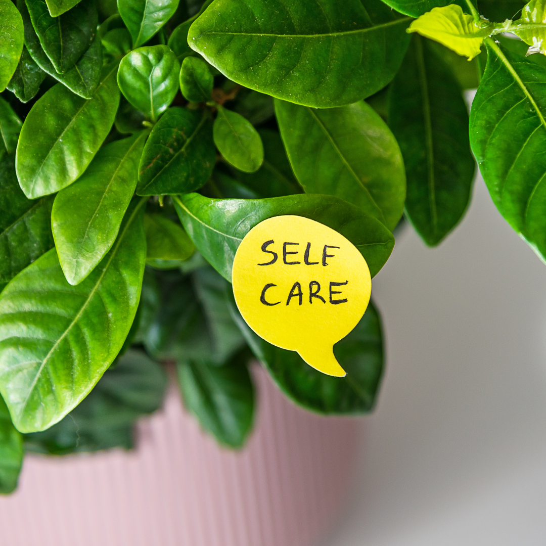 7 Lessons Plants Have Taught us About Self-Care