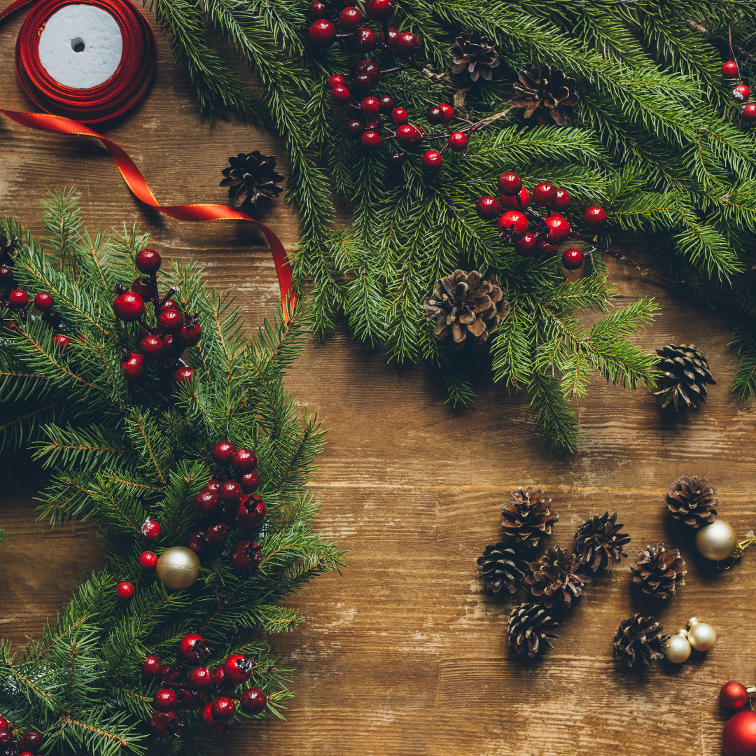 Plant Spotlight: The Christmas Wreath