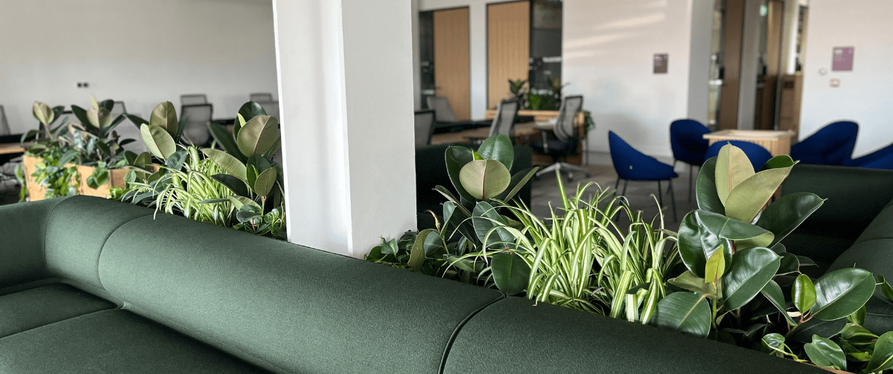The Benefits of Biophilic Design for the Workplace - Plant Store