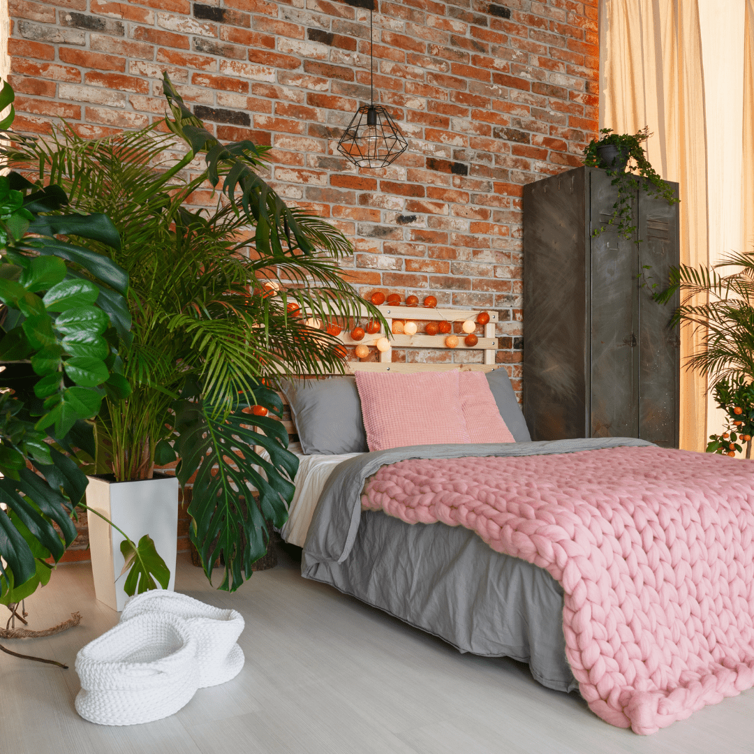 3 Air-Purifying Plants For Your Bedroom - Plant Store