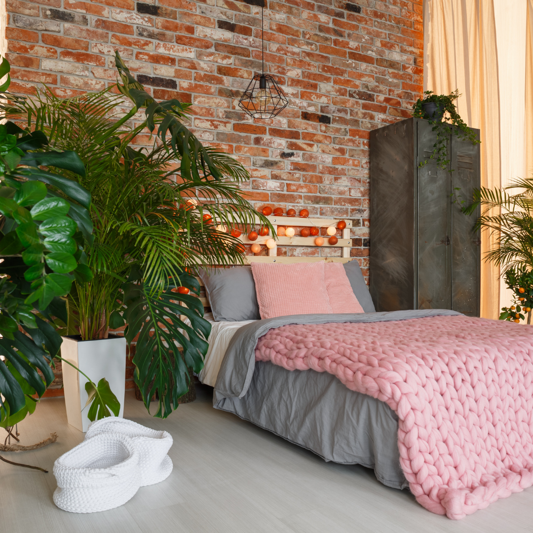 3 Air-Purifying Plants For Your Bedroom