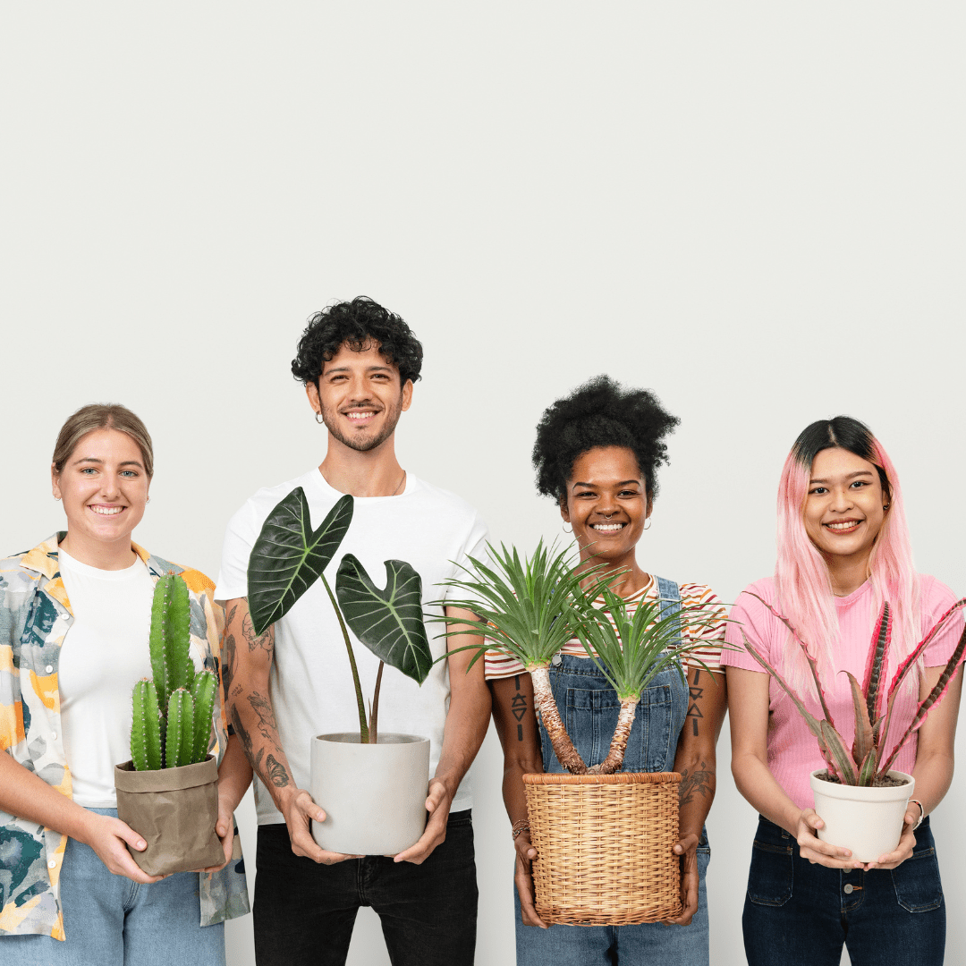 Festive Team-Building Activities | 3 Ways To Treat Your Team with Plants - Plant Store