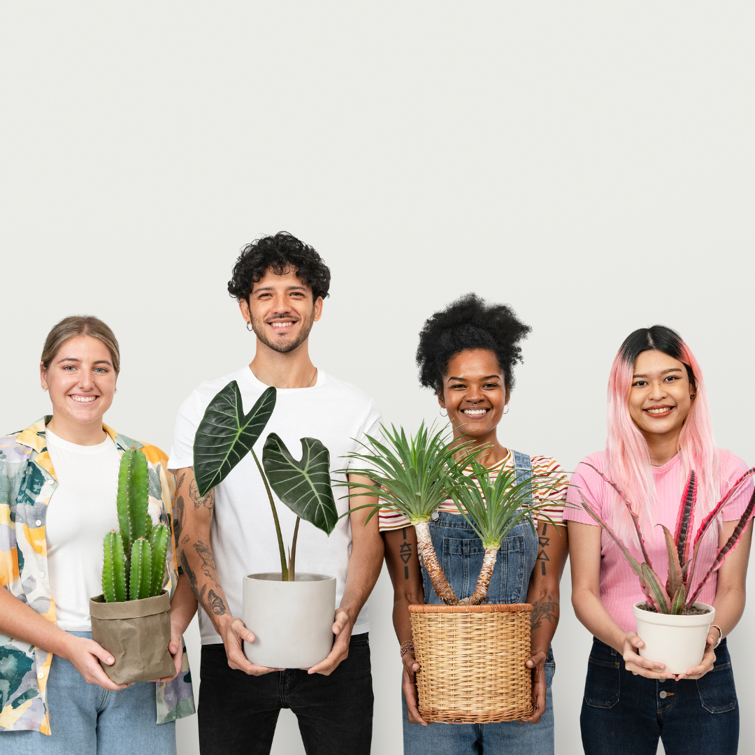 Festive Team-Building Activities | 3 Ways To Treat Your Team with Plants