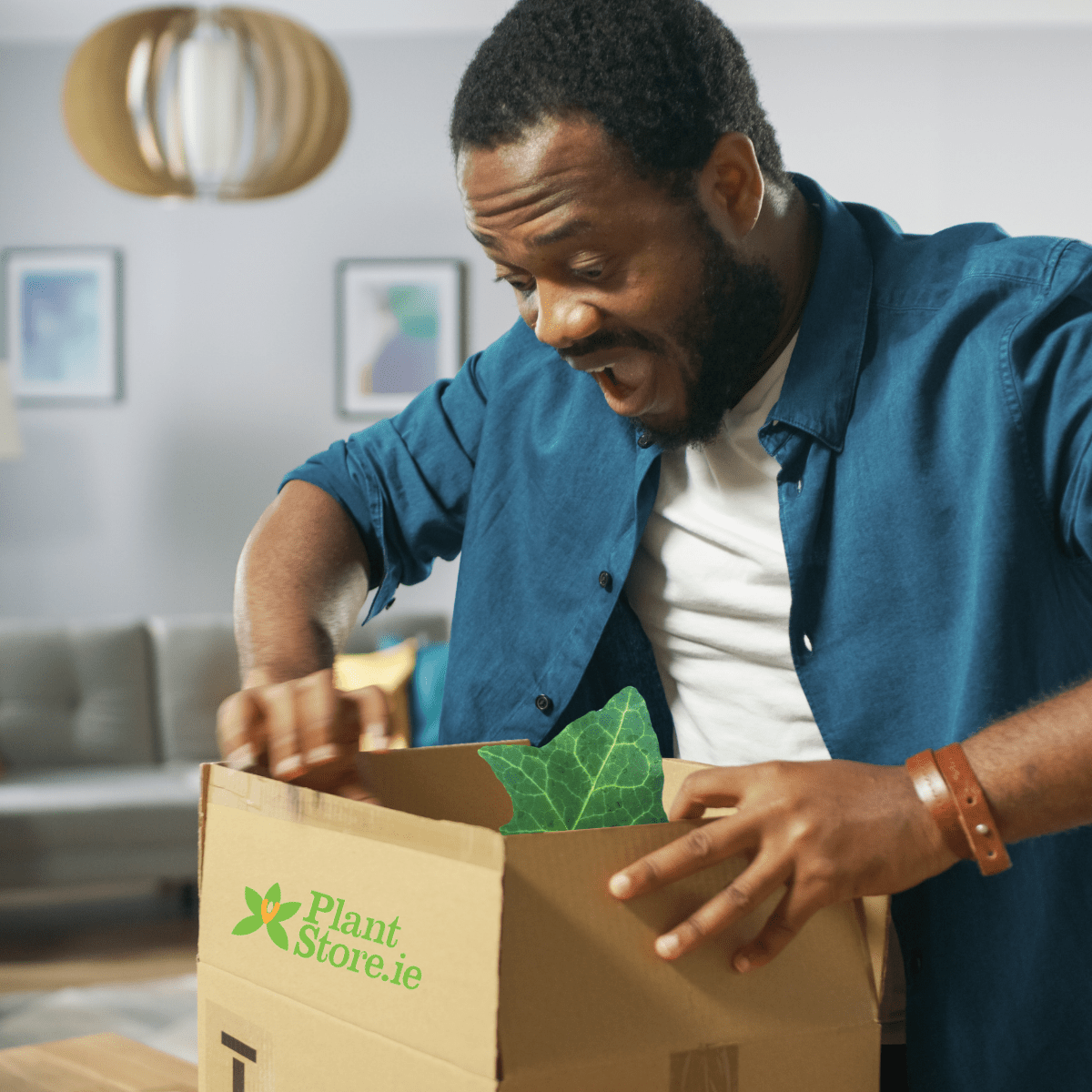 Plants: The Healthy & Sustainable Employee Gift Option - Plant Store