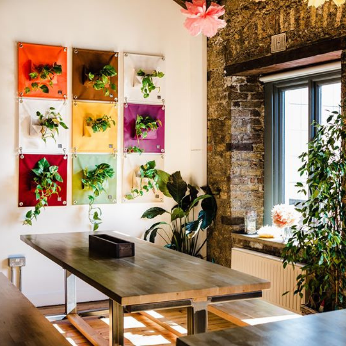 The Benefits of Biophilic Design For Your Workplace - Plant Store